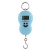 LCD Mini Digital Scales; Electronic Hanging Luggage Scale; Load 50Kg; 0.01Kg Pocket Weighting Fishing Scale Balance